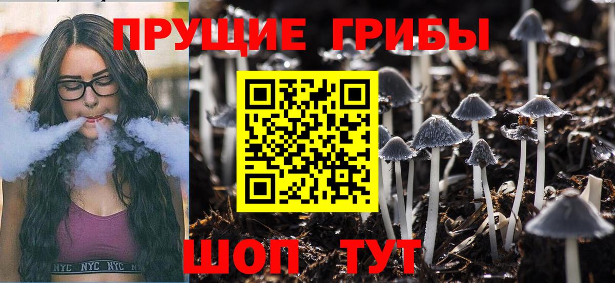 Псилоцибиновые грибы Psilocybe  Вход с VPN  Галлюциногенные грибы мицелий  Кимры 